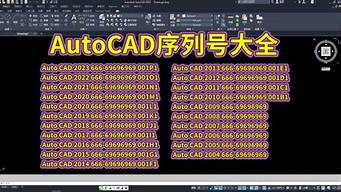 AutoCAD序列号_autocad序列号和密钥